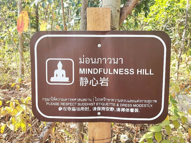 Mindfulness Hill - Image 2