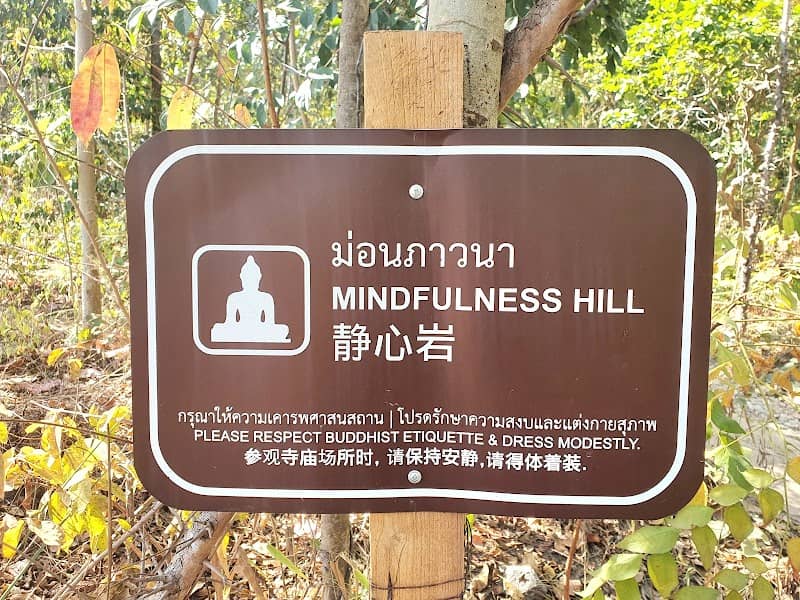Mindfulness Hill - Image 2