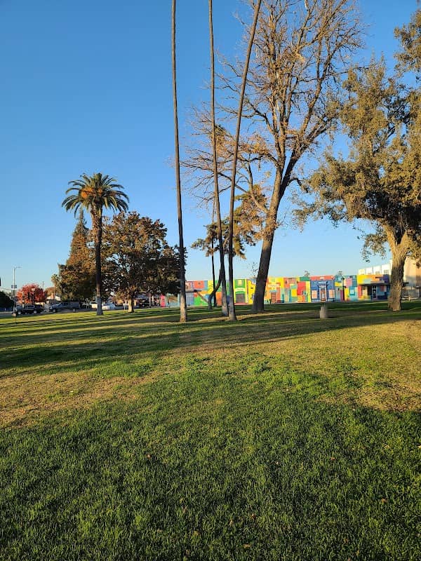 Selma Park - Image 2
