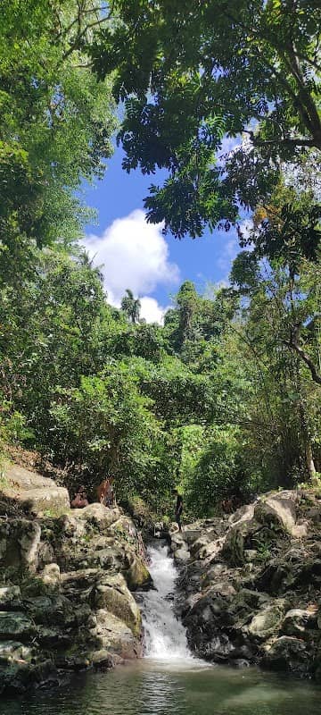 Buli hidden paradise - Image 2