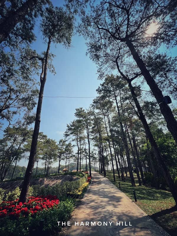 Harmony Hill Tuần Châu - Image 1
