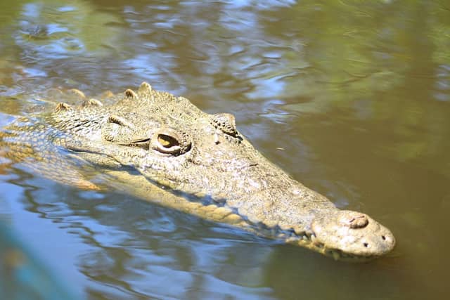 Canal El Zapatero - Image 1