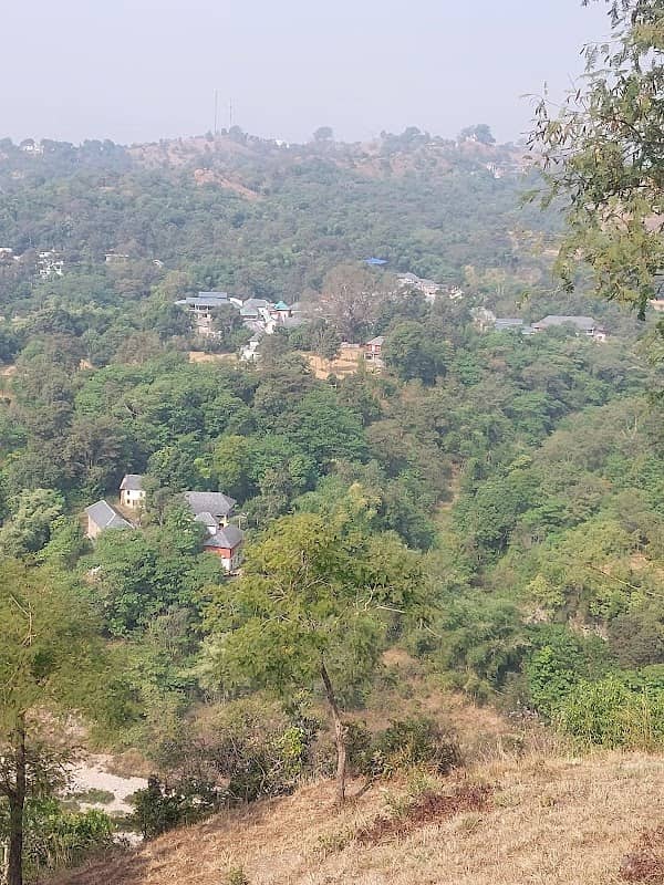 Amman village - Image 3