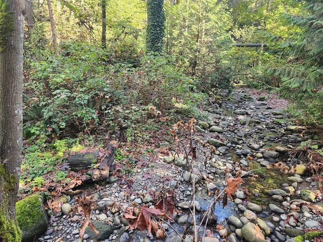 Palfy Park - Image 2