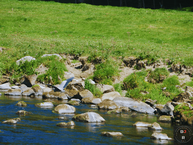 Riverside Walk - Image 3