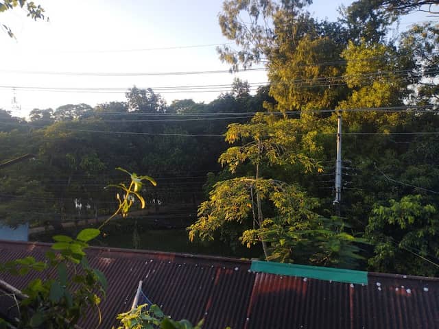 তিনকোনা পুকুরপাড় ওয়াকওয়ে - Image 1