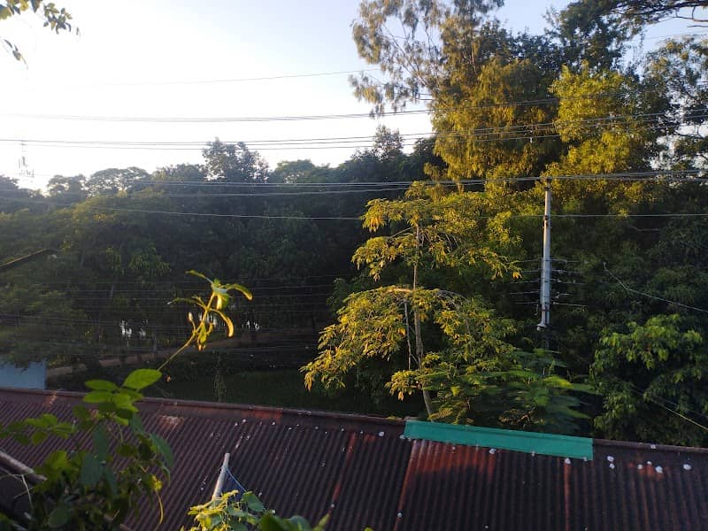 তিনকোনা পুকুরপাড় ওয়াকওয়ে - Image 1