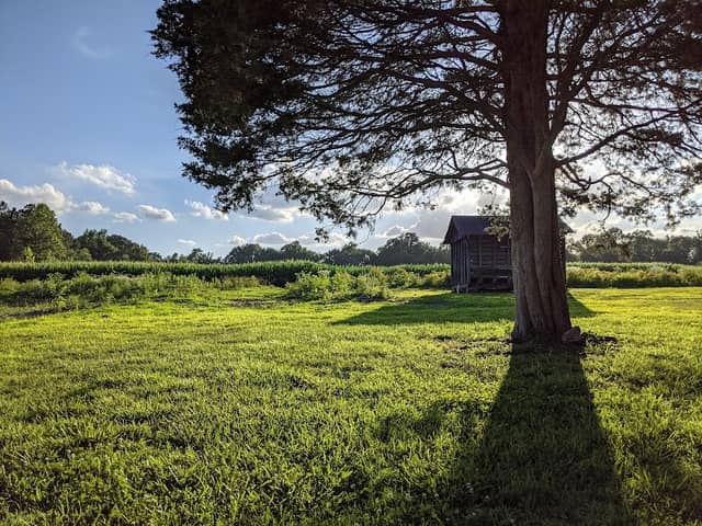 Totopotomoy Creek Battlefield Park - Image 2