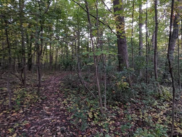 Fountain Square Nature Area - Image 1