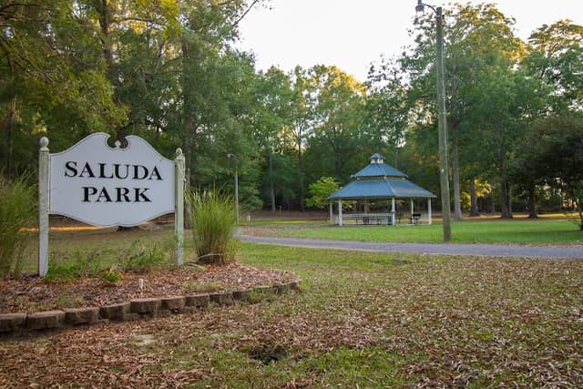 Saluda Recreation District - Image 1