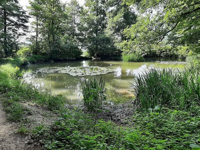 Birchweiher - Image 1