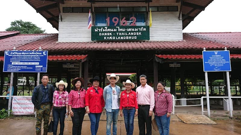 Thai-Denmark Dairy Farm - Image 1