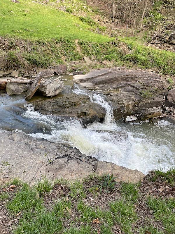 White Park - Image 1