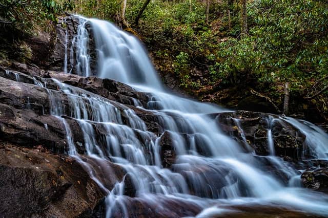 Great Smoky Mountains National Park - Image 2