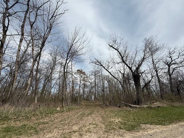 Mericle Woods State Preserve - Image 2