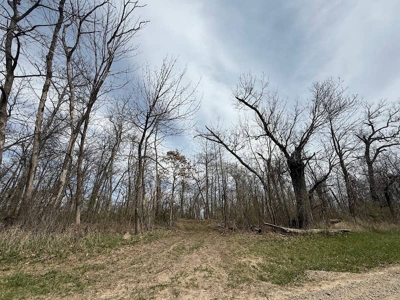 Mericle Woods State Preserve - Image 2