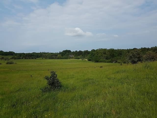 Dumpedalen - Image 1