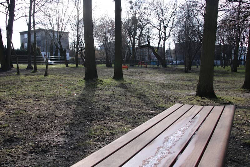 Psi wybieg - Image 1