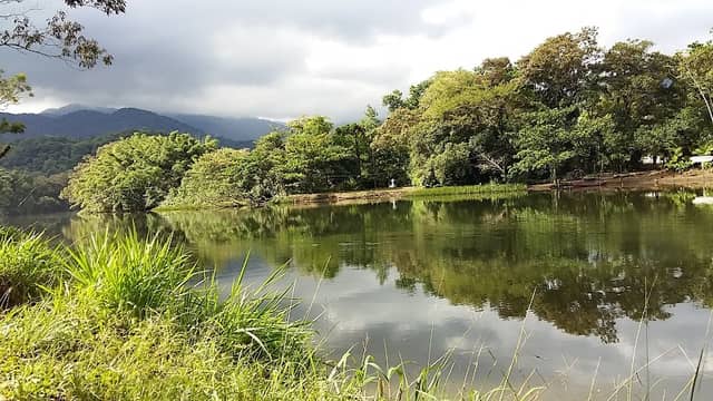 Sítio do Toninho - Image 1