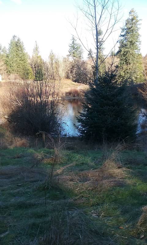 Pleasant Glade Park - Image 1