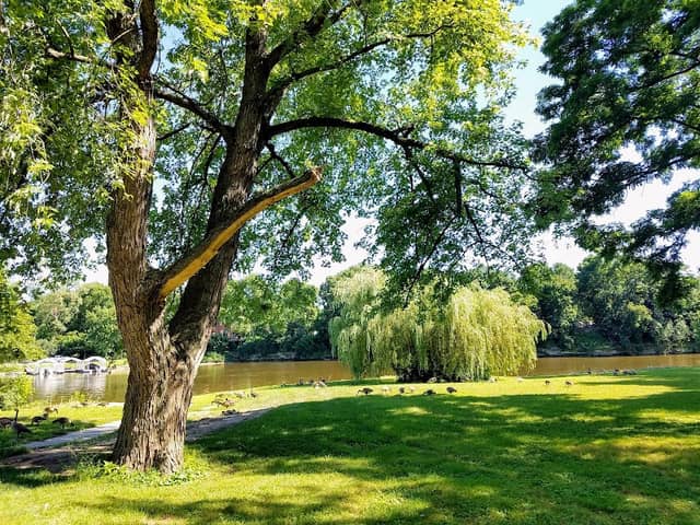 Fox River Park - Image 2