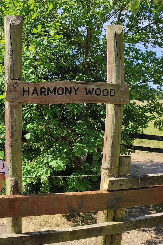 Harmony Wood - Image 2