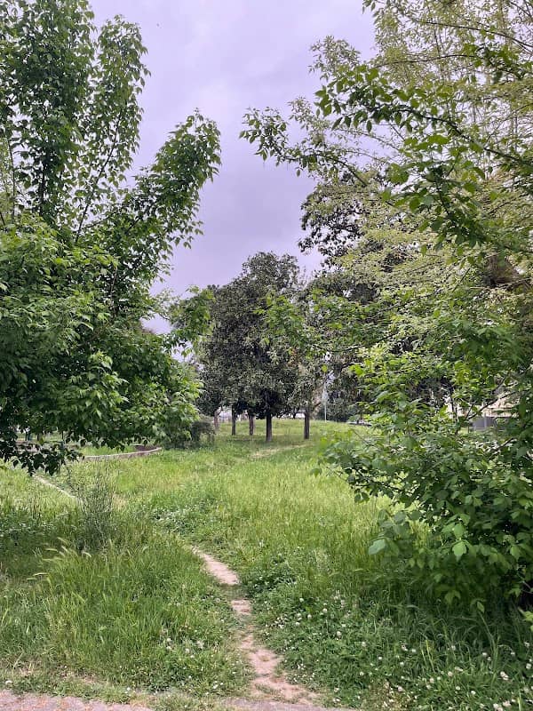 Parco Giorcelli - Image 1