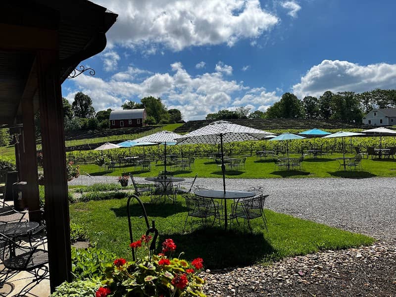 Serpent Ridge Vineyard - Image 1