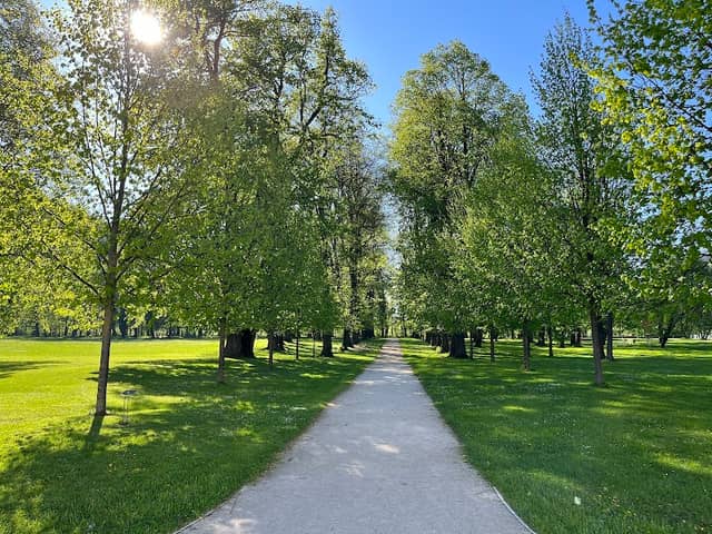 Budatínsky Park - Image 3