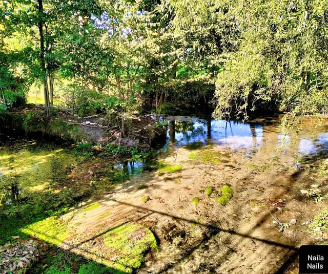 Risorgiva Castellaro - Image 1