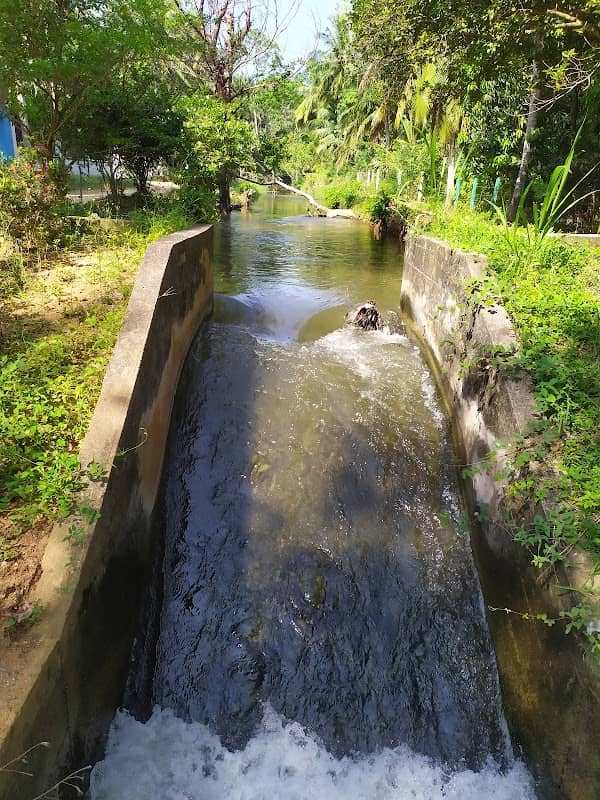 දකුණු ඉවුරේ ප්රධාන ඇල - Image 1
