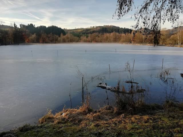 Prombachsee - Image 1