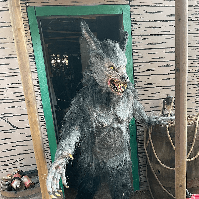 Wicked Woods Of Terror Haunted Trail - Image 1