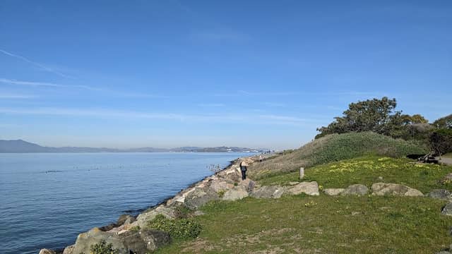 Cesar Chavez Park - Image 1
