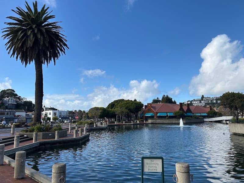 Tiburon ferry station - Image 1