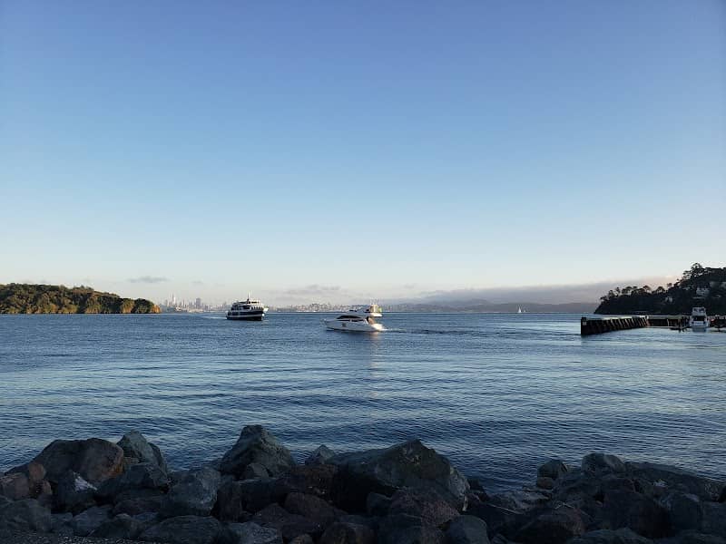 Tiburon ferry station - Image 3