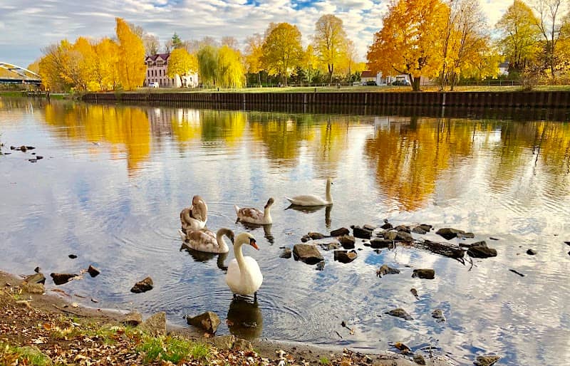 Blick auf die Spree - Image 5