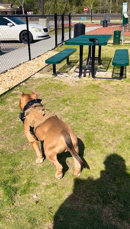 Dog Park at Love's Travel Stops - Image 1