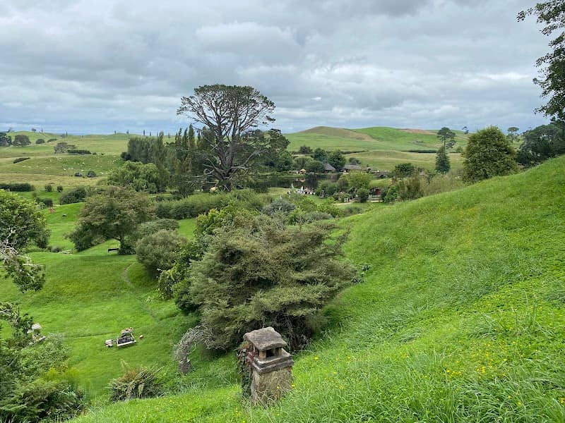 The Party Tree - Image 1