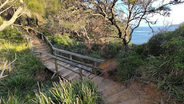 North Mona Vale Headland Reserve - Image 3