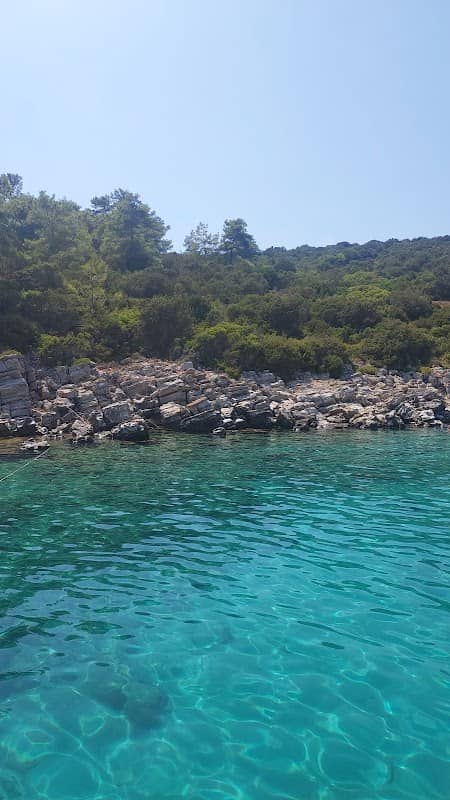 Open beach - Image 2