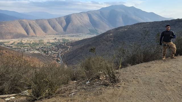LOS 3 PALOS - Image 1