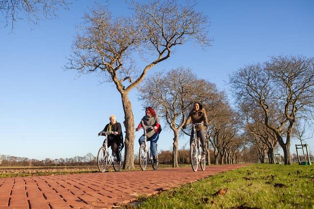 Park Lingezegen - Image 1