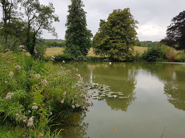 Gatton Park - Image 1
