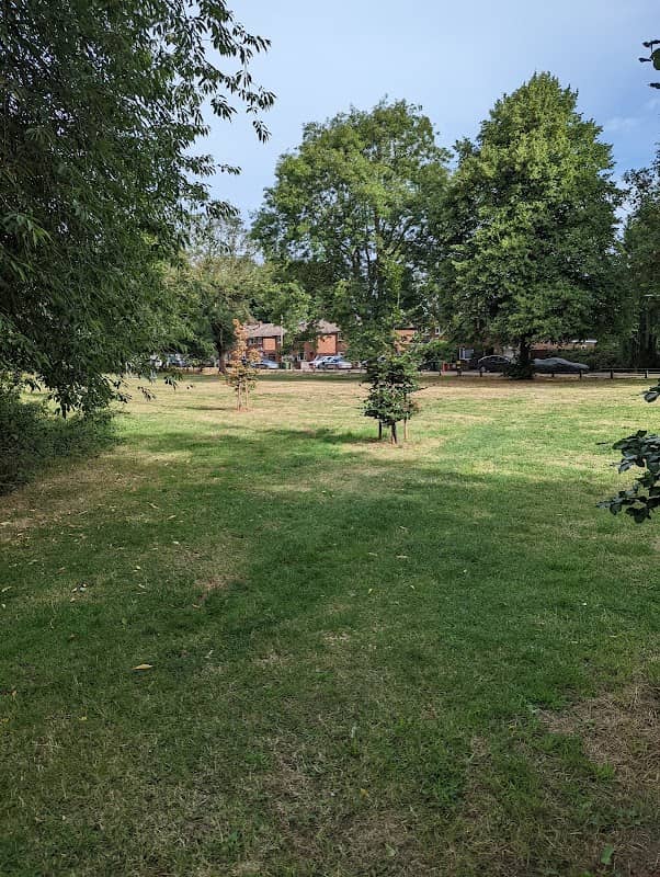Birch Green - Image 1