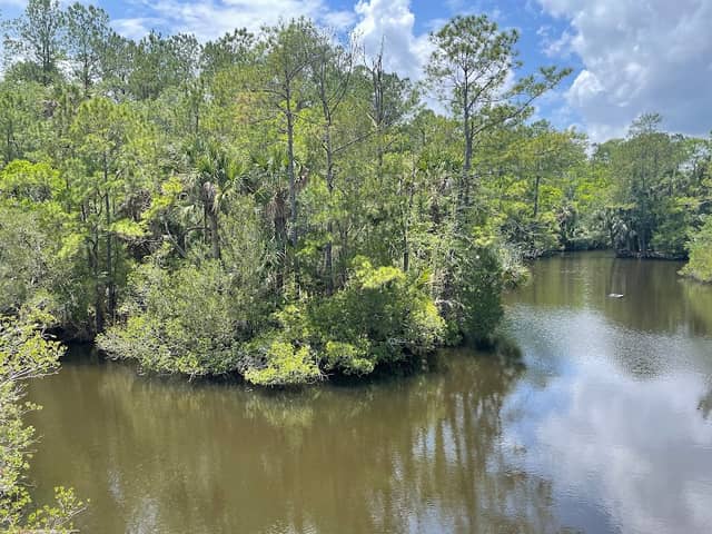 Grayson's Island - Image 2