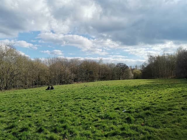Thistleberry Parkway - Image 1