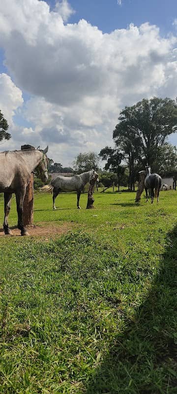 Rancho Santo Antônio - Image 1