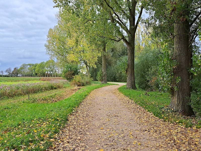 Plantsoen - Image 2