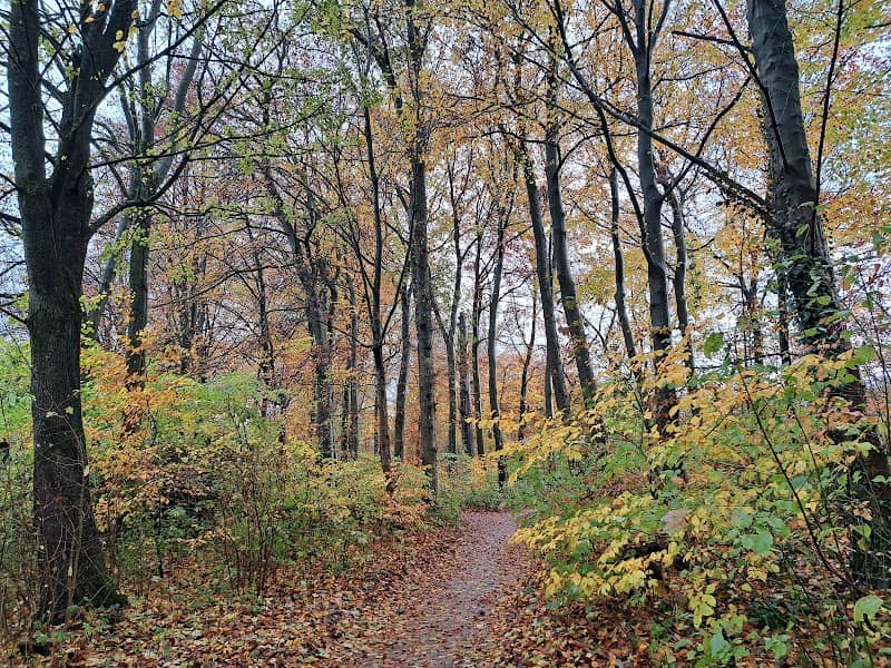 Plantsoen - Image 1